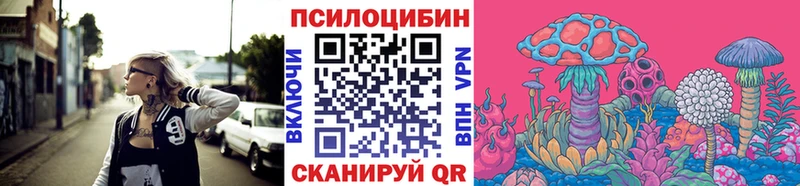 blacksprut tor дарнет шоп Нижнеудинск Галлюциногенные грибы Psilocybine cubensis